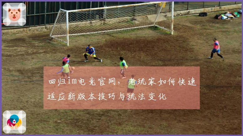回归im电竞官网，老玩家如何快速适应新版本技巧与玩法变化