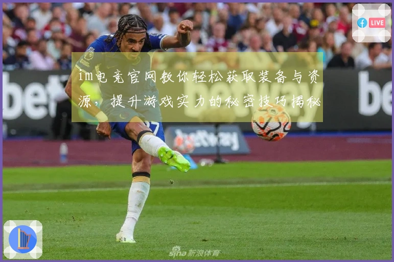 im电竞官网教你轻松获取装备与资源，提升游戏实力的秘密技巧揭秘