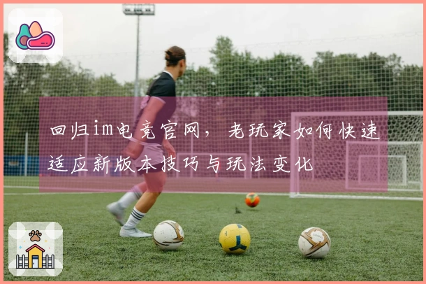 回归im电竞官网，老玩家如何快速适应新版本技巧与玩法变化